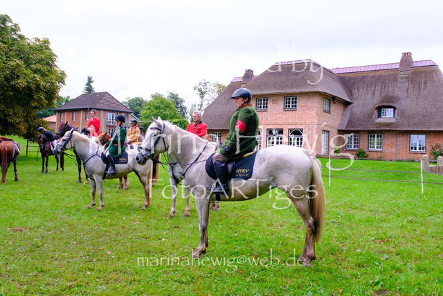 Jagd Perdoel 26 Fuji-9916_MarinaHewig | Fotografie, FotoArt, PferdesportArt, Pferdesportfotografie, Landschaftsfotografie, Reisefotografie, Reise, Pferde - Realisiert mit Pictrs.com