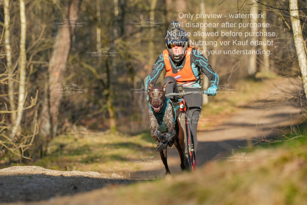 Sa_Scooter-203 | stephaniefillaphotographie - Realisiert mit Pictrs.com