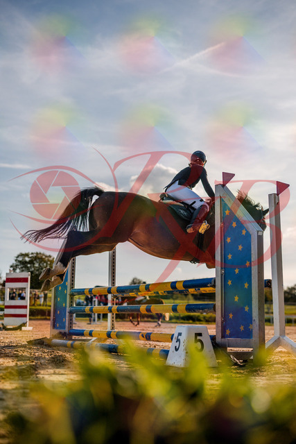 2026_10_03_Siefer-Hof_170955_Z63_20924347 | Professionelle Reitsport-, Turnier- und Eventfotografie von Robert Broda. Galerien mit ausgewählten und bearbeiteten Bildern direkt online ansehen und bestellen.