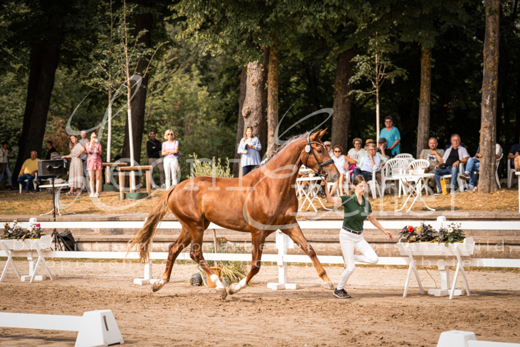 7.Fr00071 | Leoni Ertmer Photography - Realisiert mit Pictrs.com