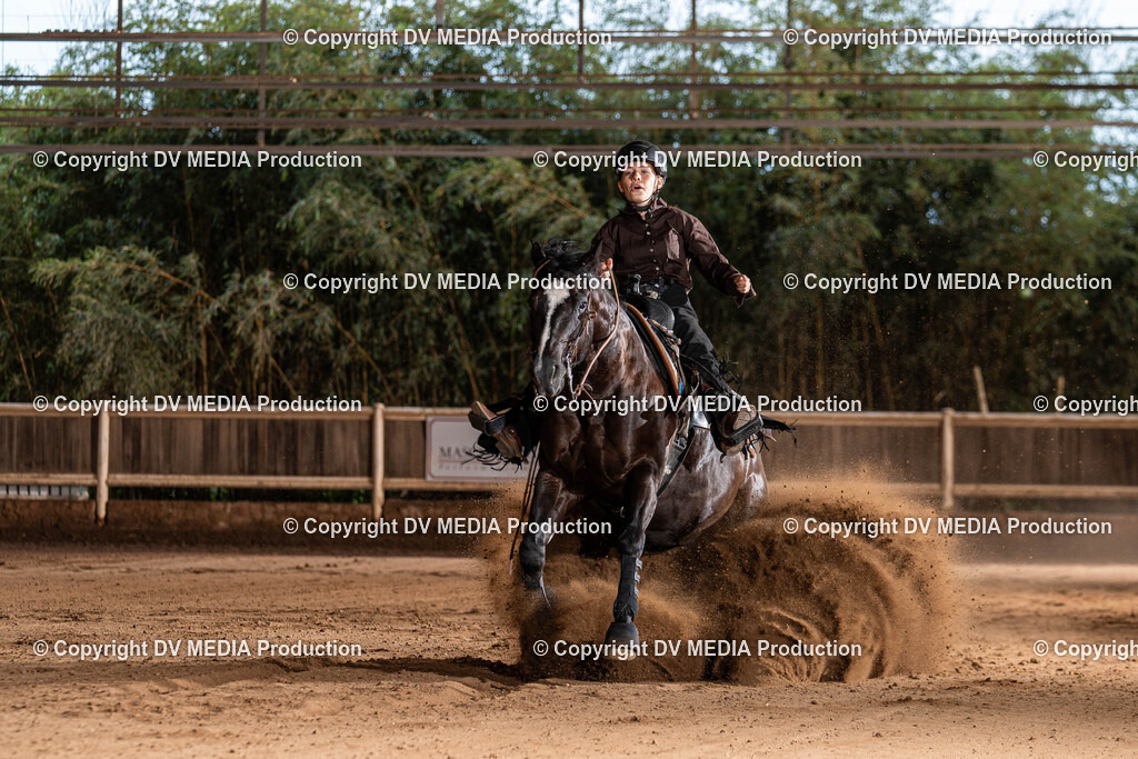 Erbach Tag 1-1195 | dv-media-shop - Realisiert mit Pictrs.com