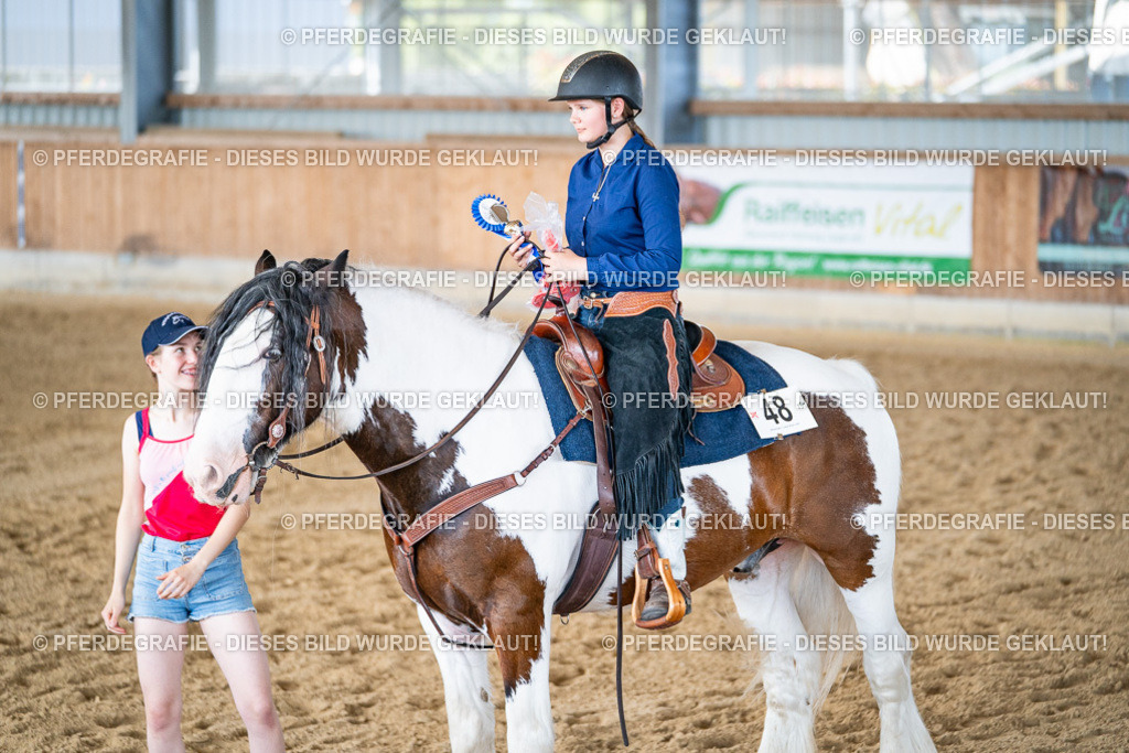 DSC03287 | Pferdegrafie