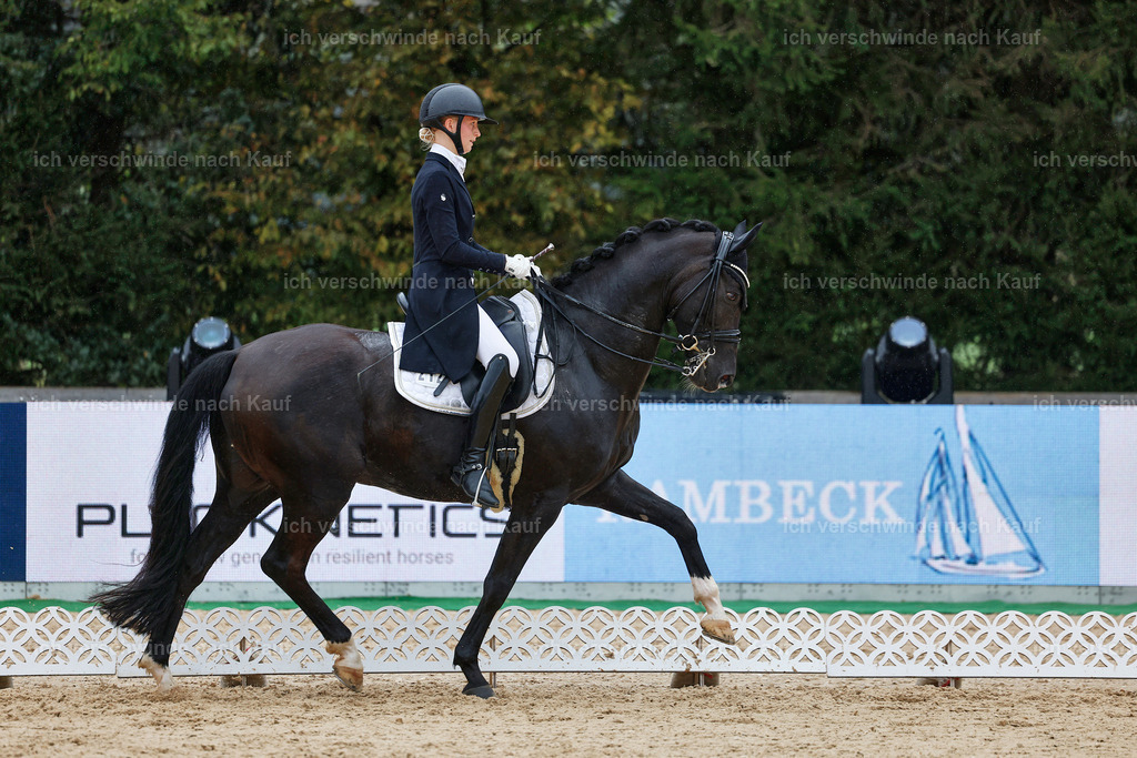 8_1-212-Klasse S_  -StoibPH-3925 | working equitationturnier fotograf videograf stoibphotography marixx film working equitation deutschland reitsport turnierfotografie eventfotografie equestrian events