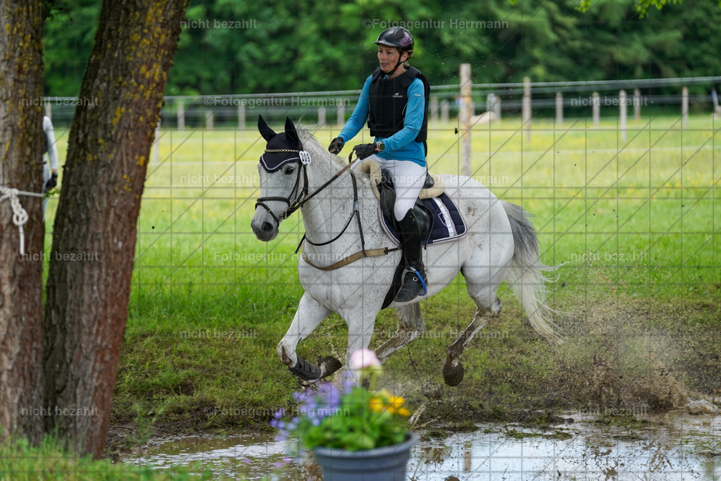 20240518-FAH03724 | Turnierbilder von Niederseon, Turnierfotografen Bayern, Fotoagentur Herrmann, Geländebilder, Reitsportfotografie
