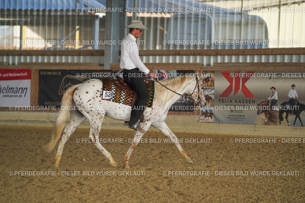 DSC07960 | Pferdegrafie