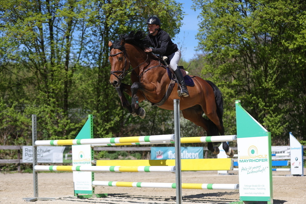 0P6A8165 | Willkommen bei Brunnmayr - Design & Fotografie – Ihrem Spezialisten für Reitturniere und Pferdeveranstaltungen in Oberösterreich, Salzburg und Bayern! Seit über 17 Jahren sind wir leidenschaftlich dabei.