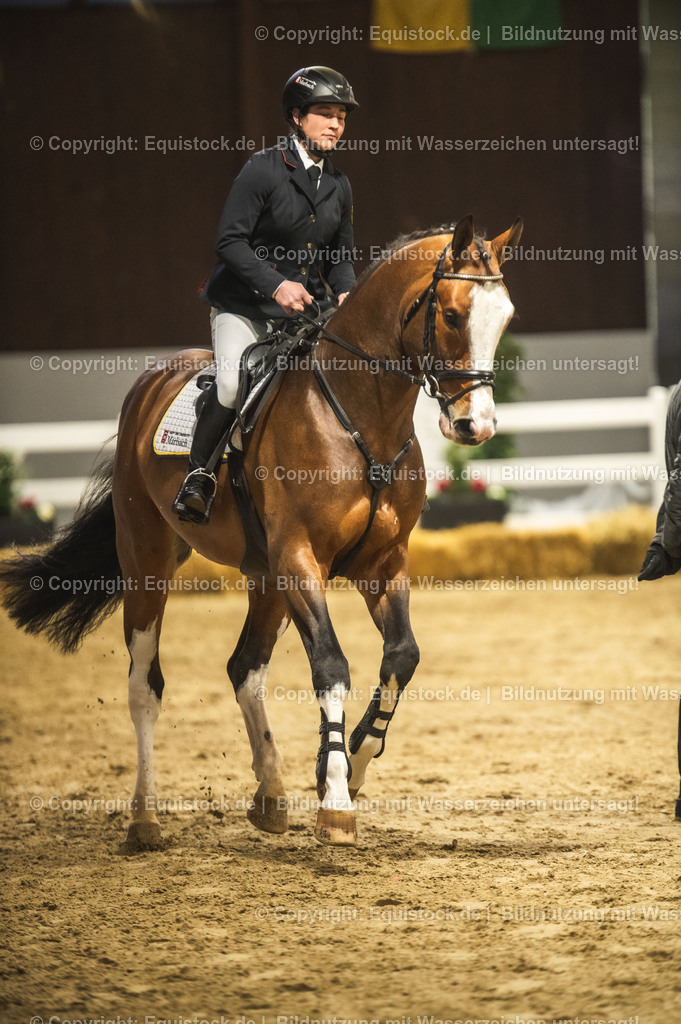 20240302_Hengstvorstellung_Marbach_TOMsPiC_0490-2 | equistock