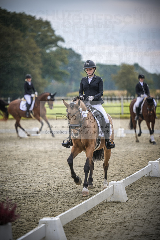 DOS_B310 | Entdecke hochwertige Reitturnierfotos von Foto Oger. Professionell, emotional und authentisch – jetzt Lieblingsmomente im Shop bestellen.Deutschlandweite Turnierfotografie. - Realisiert mit Pictrs.com