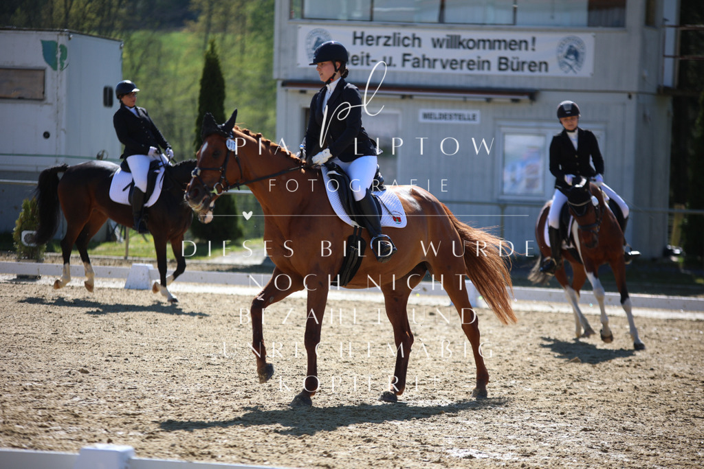 IMGT0348 | pl-fotografie