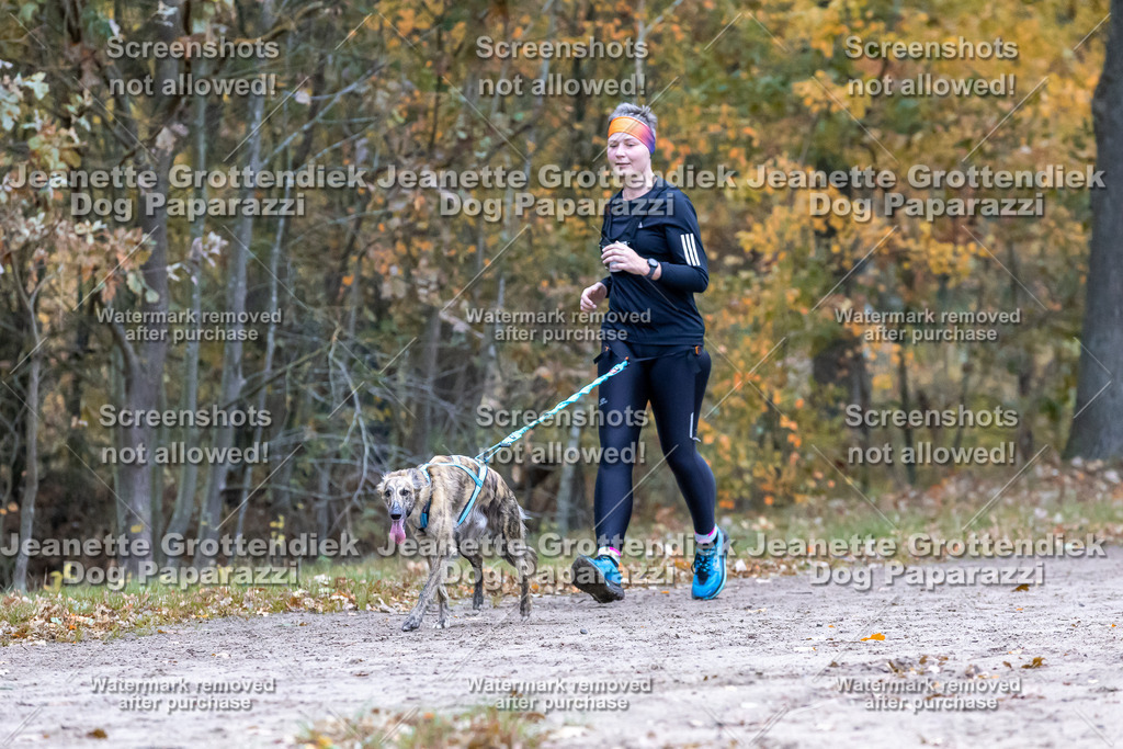 Dog Paparazzi - SD CaniX Championship 2025-361 | Dog Paparazzi Jeanette Grottendiek Fotografie & Videografie - Realisiert mit Pictrs.com