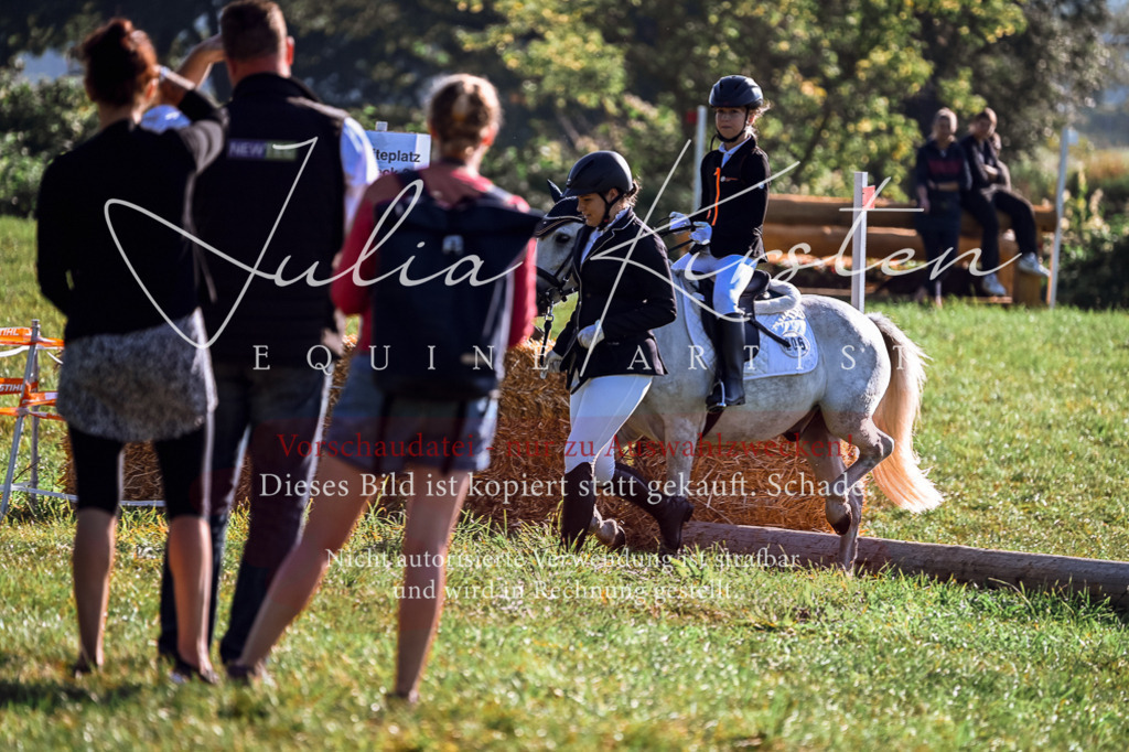 DSC_0438 | Pferde- und Turnierfotografie in Westsachsen. Pferdeportraits, Auftragszeichnungen und intuitive Kunst.