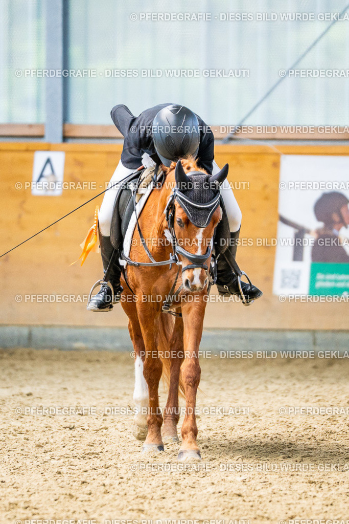 DSC03887 | Pferdegrafie