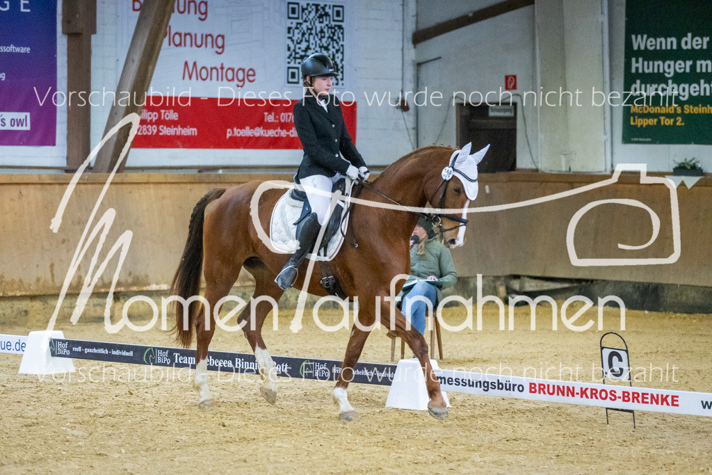 Sth-WBO25-DrR-072 | MomenTaufnahmen Pferdesportfotos