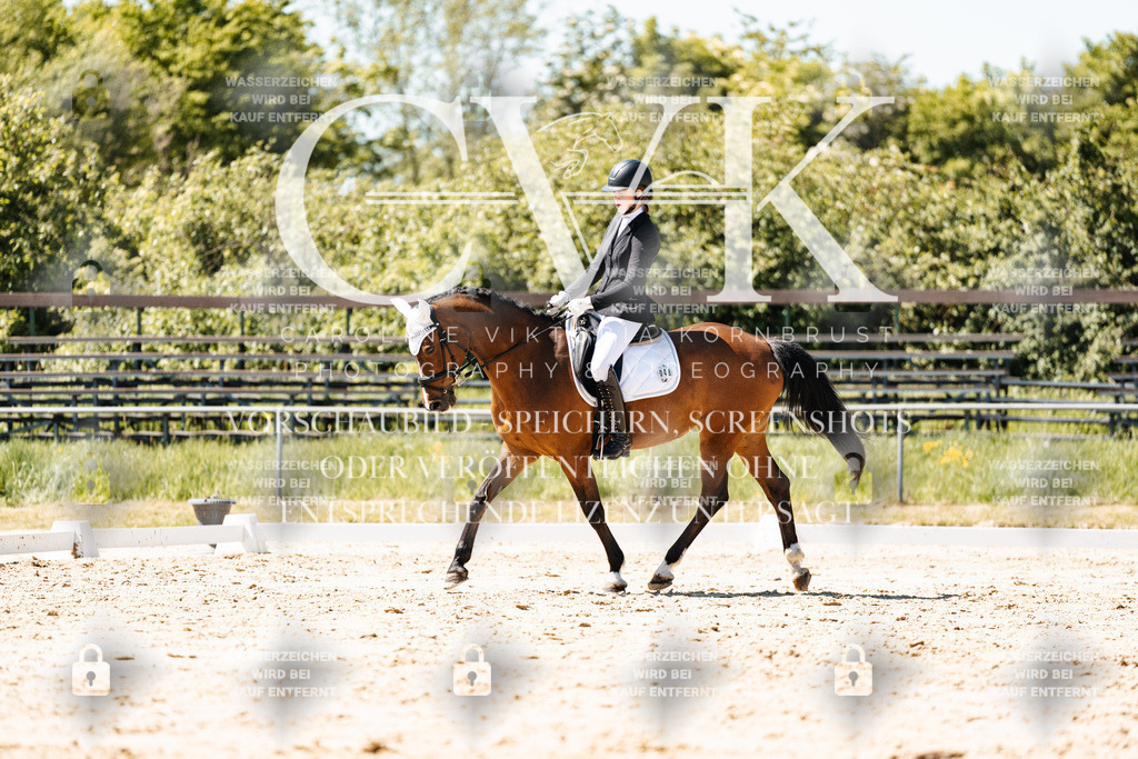 CK905899 | Turnierfotografie Pferdefotografie Trier Rheinland-Pfalz Pferdesport Reitsport Tierfotografie Sportfotografie Pferdevideo Pferdevideografie Equestrianvideography equestrianphotography  - Realisiert mit Pictrs.com