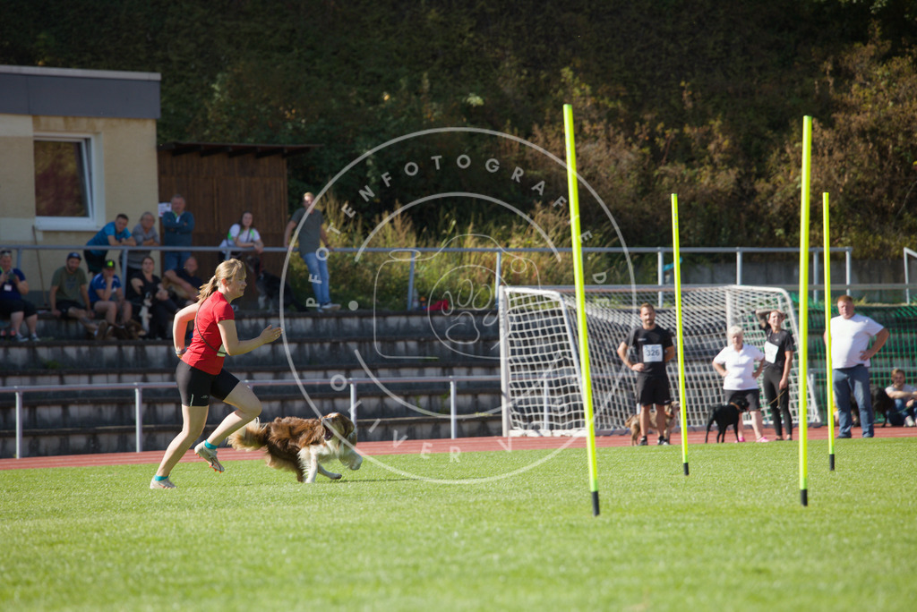 0L8A8716 | Hundefotografie, Tierfotograf, Pfotenfotografie, Fotoshooting Hund, Hunde Portrait, Hundesport, Hundeportraits, Heideshooting, Hunde, Sportfotograf, Hundefotograf, Turnierhundsport, THS,  - Realisiert mit Pictrs.com