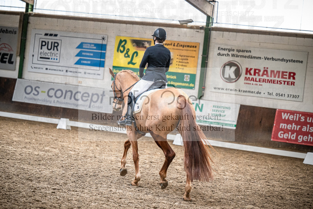 DOS_0156 | Entdecke hochwertige Reitturnierfotos von Foto Oger. Professionell, emotional und authentisch – jetzt Lieblingsmomente im Shop bestellen.Deutschlandweite Turnierfotografie. - Realisiert mit Pictrs.com