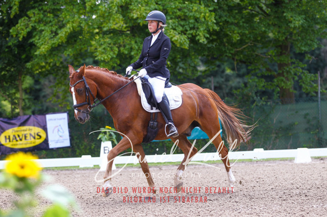 DKP42413 | Turniersportfotografie; Pferdefotografie; Dressurfotografie