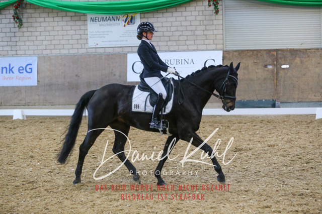 IMG_2909 | Turnierfotos kaufen im Webshop von Daniel Kuhl Photography – entdecke professionelle Reitsportfotos aus Turnieren & Events. Hochwertige Turnierbilder online bestellen & sichern. Jetzt Fotos von Reitsportturnieren kaufen!