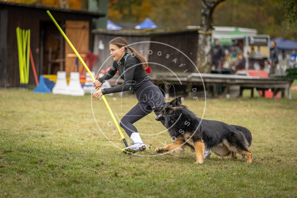 Pfotenfotografie_DV3A7452 | Hundefotografie, Tierfotograf, Pfotenfotografie, Fotoshooting Hund, Hunde Portrait, Hundesport, Hundeportraits, Heideshooting, Hunde, Sportfotograf, Hundefotograf, Turnierhundsport, THS,  - Realisiert mit Pictrs.com