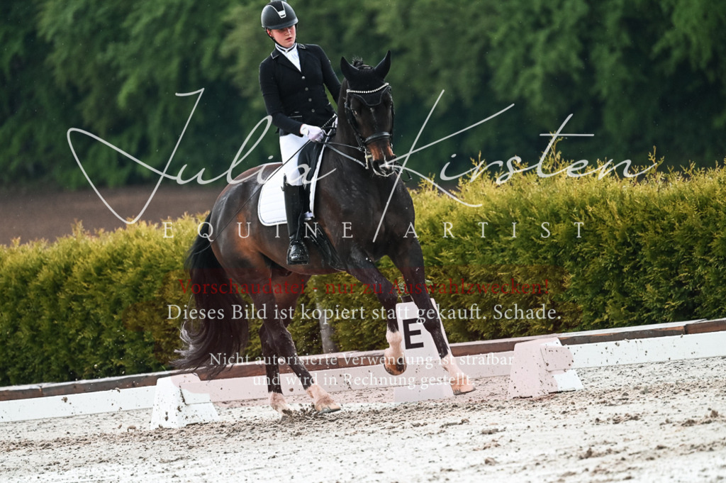 DSC_4356 | Pferde- und Turnierfotografie in Westsachsen. Pferdeportraits, Auftragszeichnungen und intuitive Kunst.