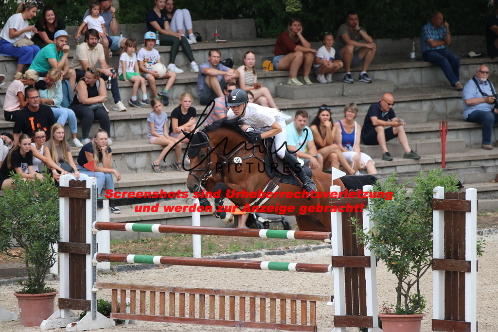 IMG_2510 | lmwpictures - Realisiert mit Pictrs.com