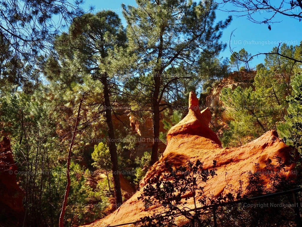 IMG_2913 | OLYMPUS DIGITAL CAMERA          - Realisiert mit Pictrs.com