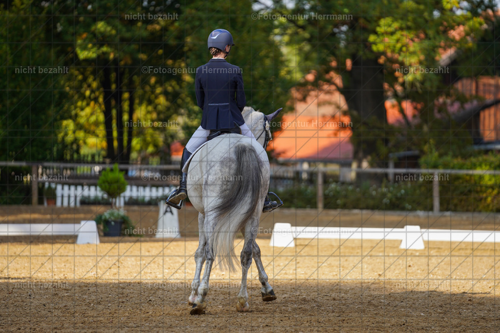20221007-FAH00068 | Diessen am Ammersee, 2022, Dressur- und Springturnier, Reitsportbilder, Turnierfotografen Bayern, Pferdefotografen, Fotoagentur Herrmann, Turnierbilder