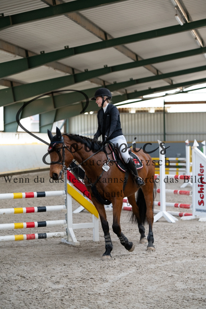 A7V02399 | Pferdefotograf