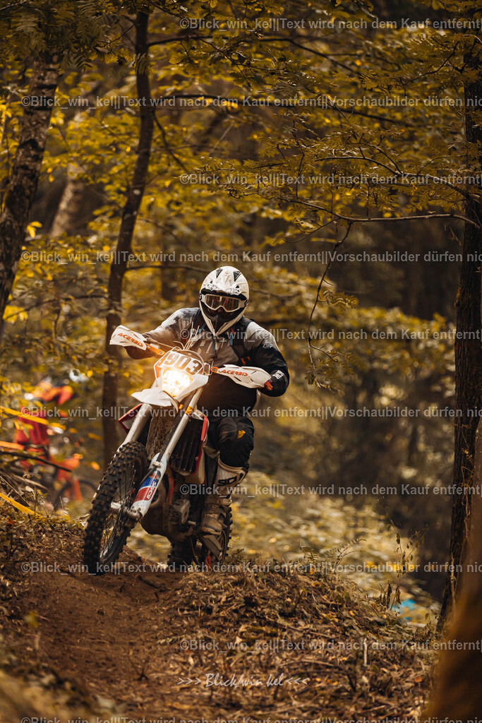 E68A3946 | blick_win_kel