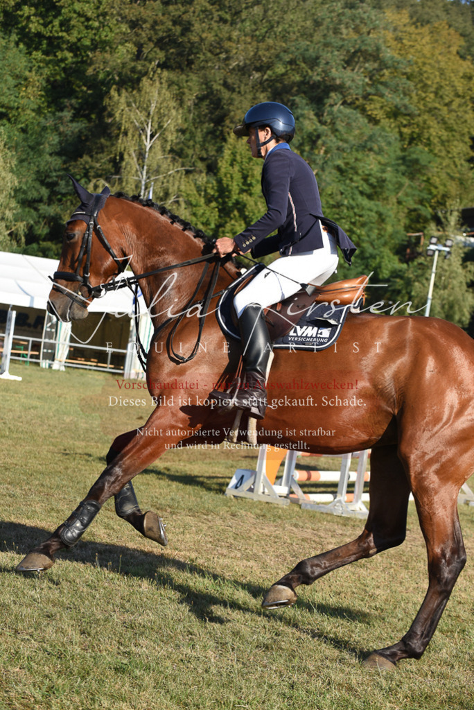 DSC_5054 | Pferde- und Turnierfotografie in Westsachsen. Pferdeportraits, Auftragszeichnungen und intuitive Kunst.