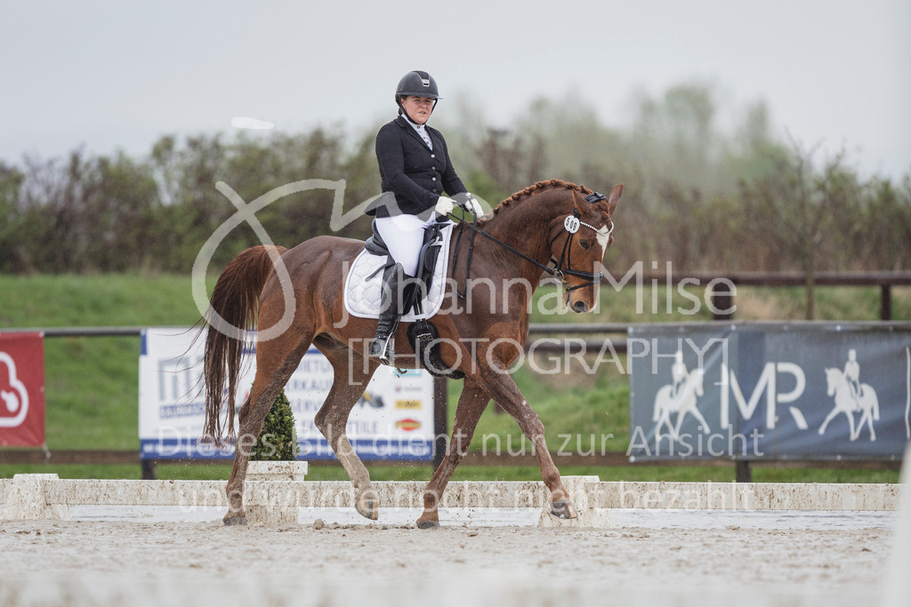 240401_Fruehlingsfest_A1-Dressur-410 | Deine schönsten Turniermomente als professionelle Fotos! Entdecke hochwertige Pferdesport-Fotografie im Online-Shop. Jetzt Fotos finden & bestellen!