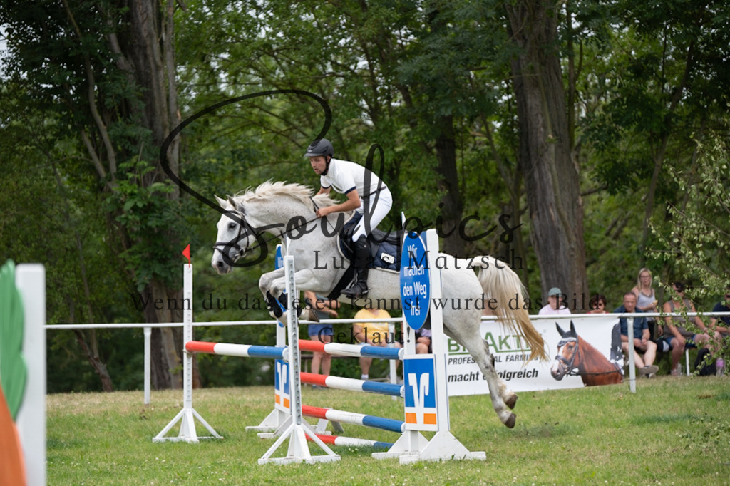 A7V06978 | Pferdefotograf