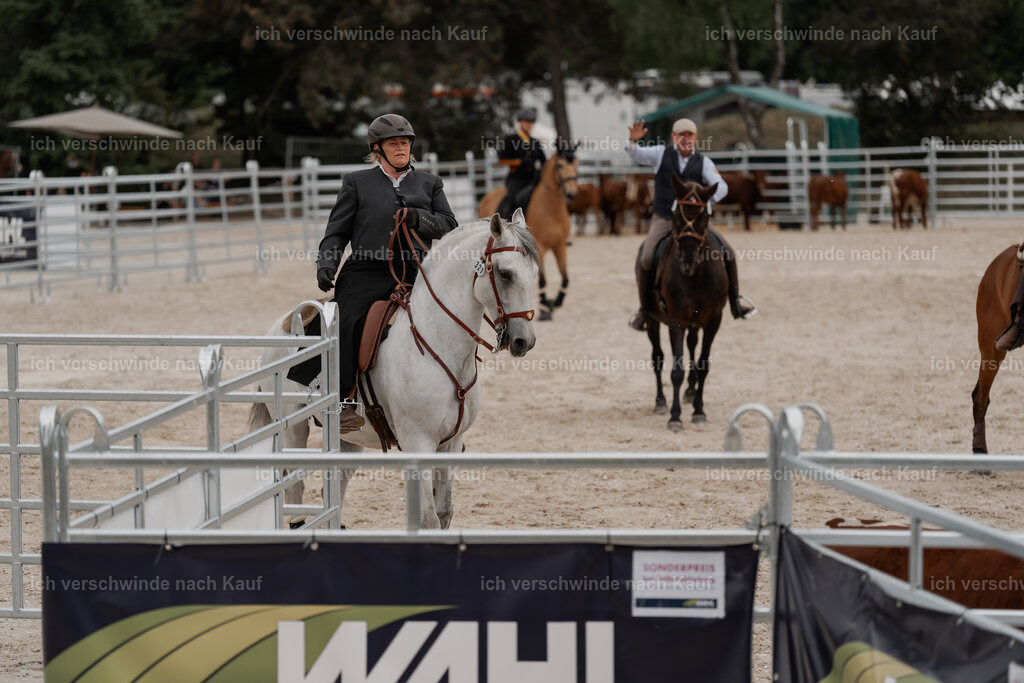 WE__Stoib_Rinder_PI2025_3054 | Pferd International München 2025