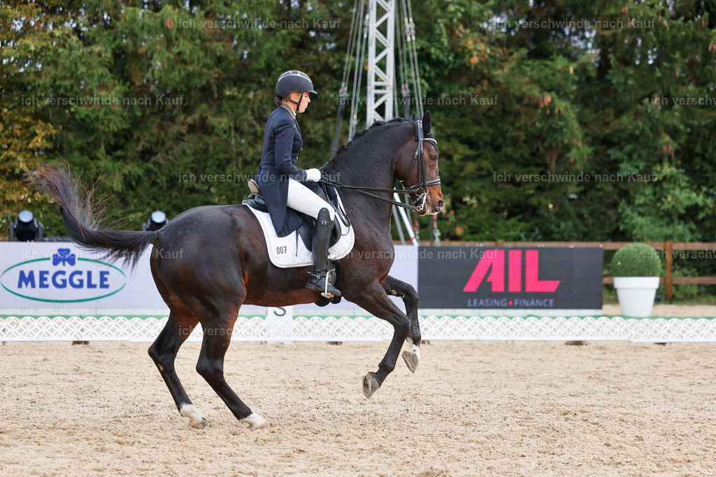07-007-DRESSUR  S___  -StoibPH-5022 | working equitationturnier fotograf videograf stoibphotography marixx film working equitation deutschland reitsport turnierfotografie eventfotografie equestrian events