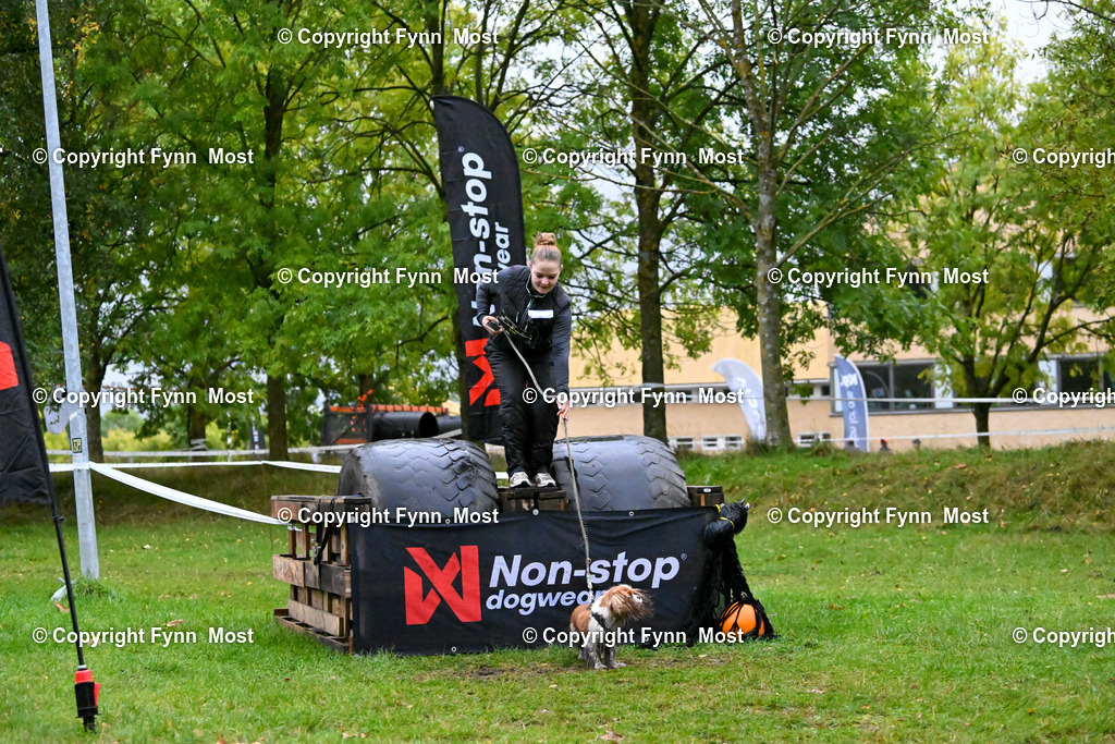 DSC_2589 | Hallo und herzlich Willkommen auf meiner Shop-Seite Fynn Most.

Ich wünsche Dir viel Spaß beim stöbern durch die Bilder, wenn Du Fragen hast oder Bilder vermisst, kannst du mir gerne eine Nachricht schreiben. - Realized with Pictrs.com