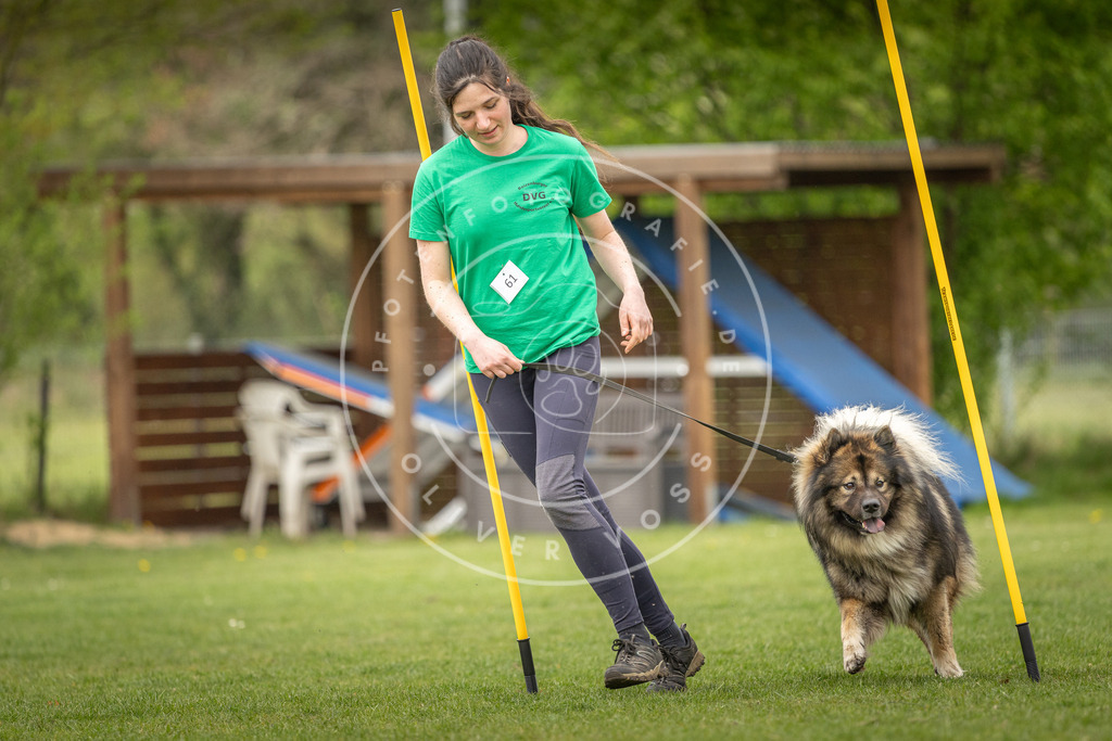 Pfotenfotografie_DV3A1724 | Hundefotografie, Tierfotograf, Pfotenfotografie, Fotoshooting Hund, Hunde Portrait, Hundesport, Hundeportraits, Heideshooting, Hunde, Sportfotograf, Hundefotograf, Turnierhundsport, THS,  - Realisiert mit Pictrs.com