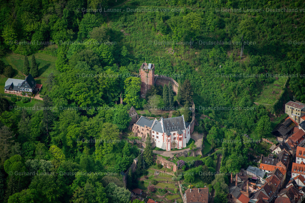 3500330 | Mildenburg, Miltenberg