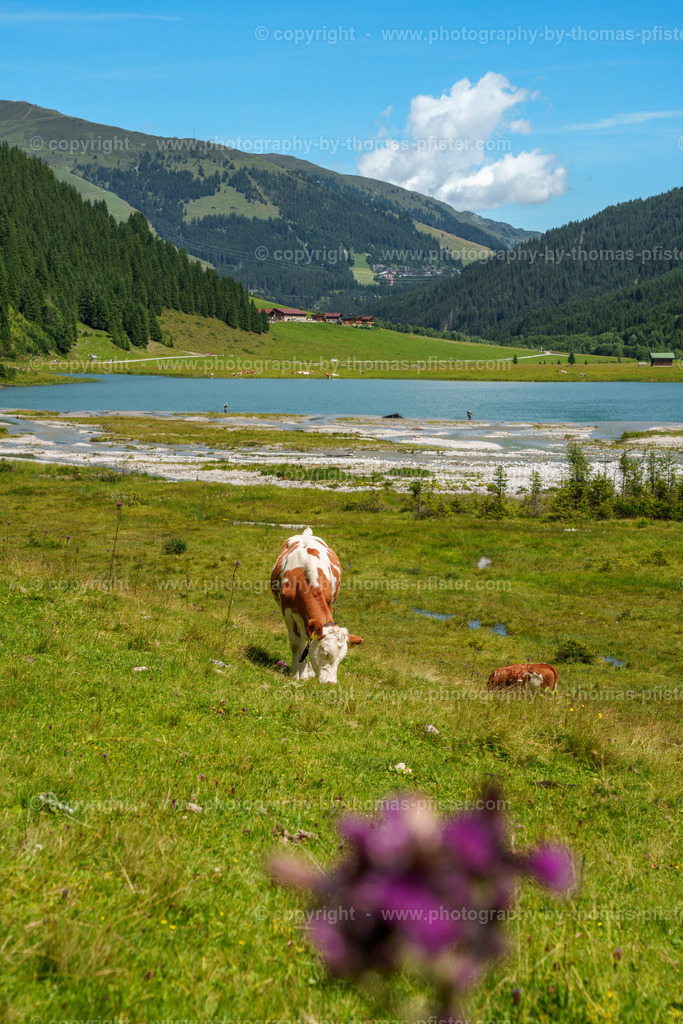  Finkau im Sommer copyright  Thomas Pfister-2 | PHOTOGRAPHY BY THOMAS PFISTER