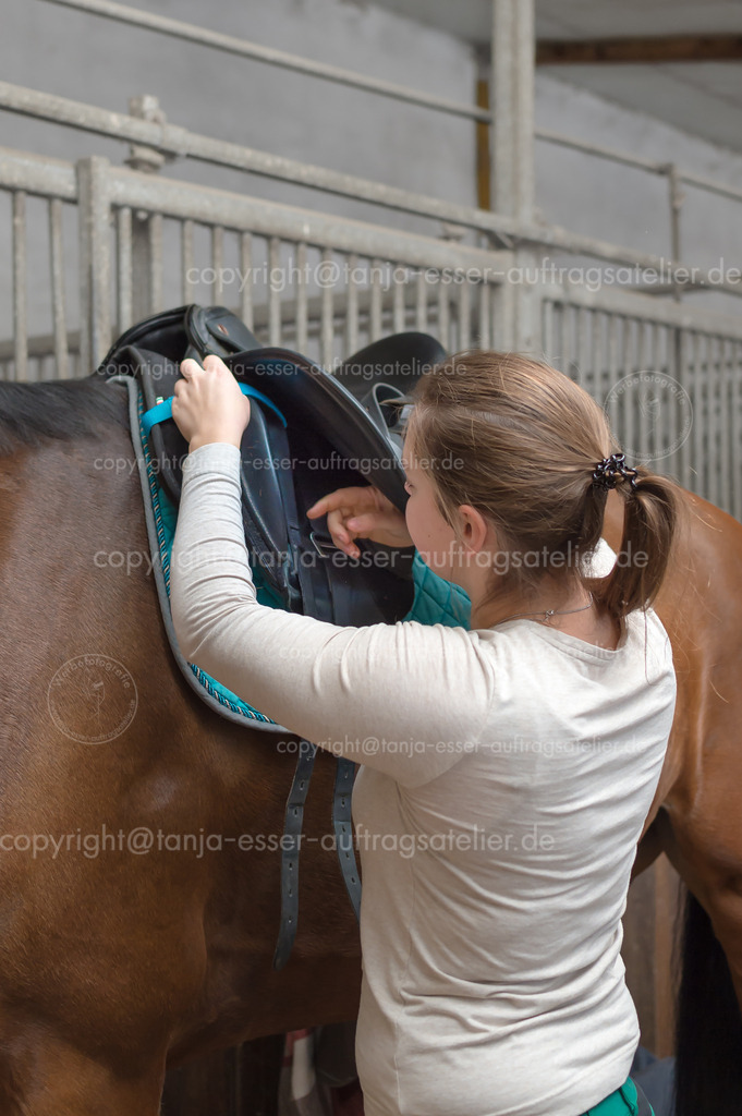 Woman saddles horse with leather saddle | Eine junge Frau steht im Pferdestall. Sie legt ihrem Hannoveraner Pferd den Sattel auf. Sie befestigt den Sattel an der Auflage. Aufgenommen in der Stallgasse auf einem Pferdehof.