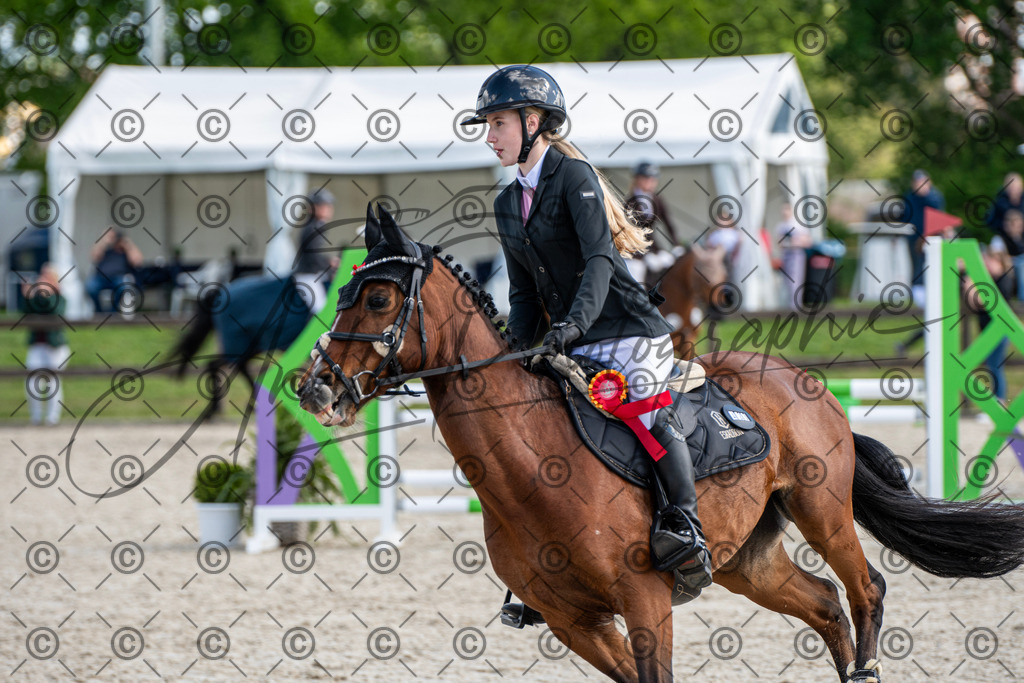 KPT_4867 | andre_photographic