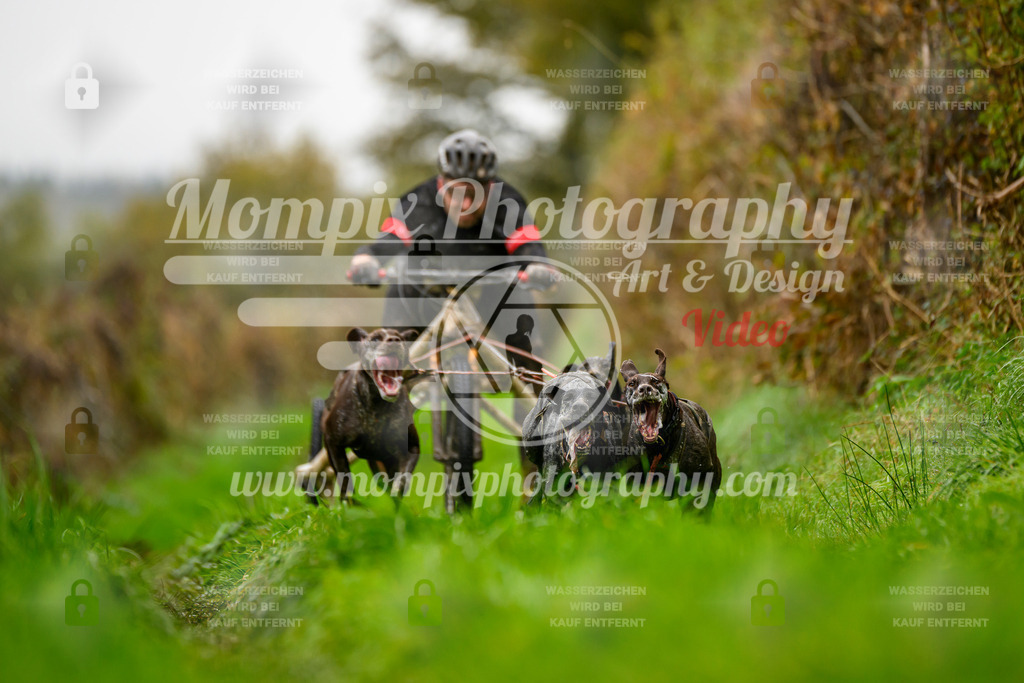 MompixPhotography_20TSB_E8_Kart-5 | PayLife