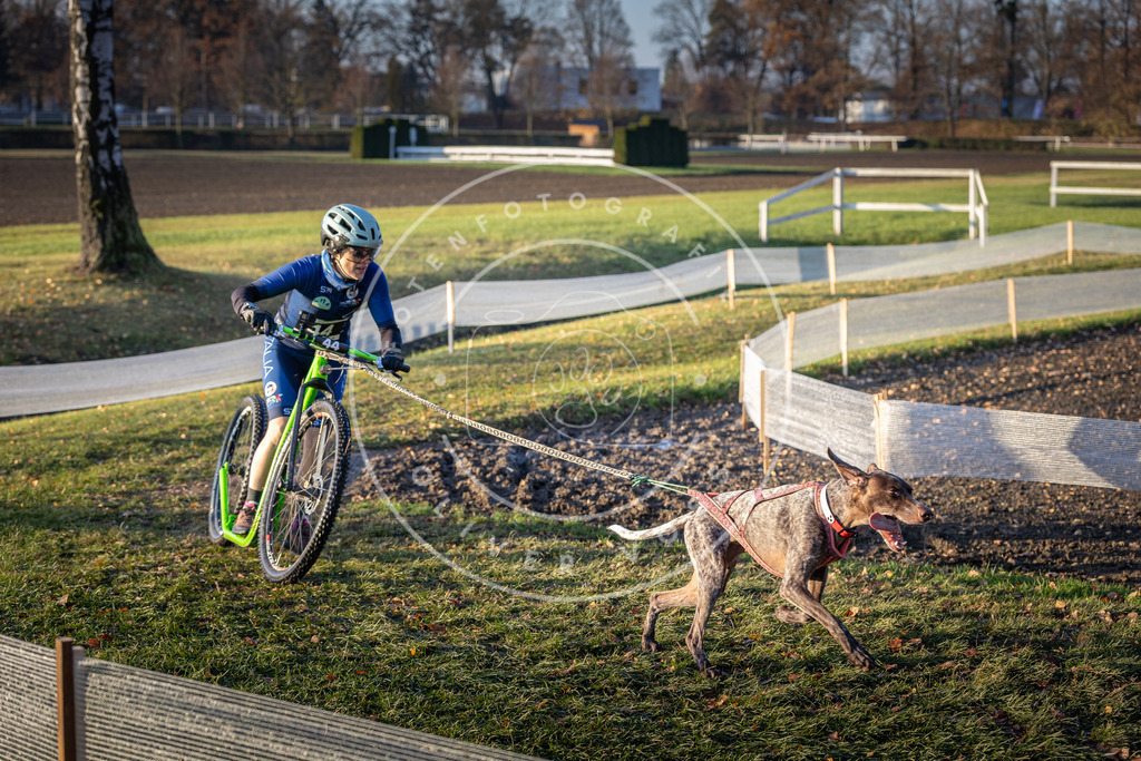CaniXpix_DV3A0368 | Hundefotografie, Tierfotograf, Pfotenfotografie, Fotoshooting Hund, Hunde Portrait, Hundesport, Hundeportraits, Heideshooting, Hunde, Sportfotograf, Hundefotograf, Turnierhundsport, THS,  - Realisiert mit Pictrs.com