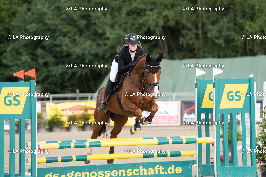 DSC03715 | Entdecke einzigartige Turnierfotos und persönliche Pferde- und Hundeportraits bei LA Photography. Für jeden Reiter und Pferd das perfekte Bild! Stöbere jetzt! - Realisiert mit Pictrs.com