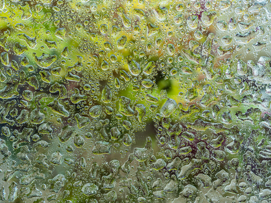 P1038420 | DieAugenweide Galerie, Bilder von Fotograf Ralf-Udo Thiele. Auswählen und bestellen auf verschiedenen Materialien und Größen. - Realisiert mit Pictrs.com