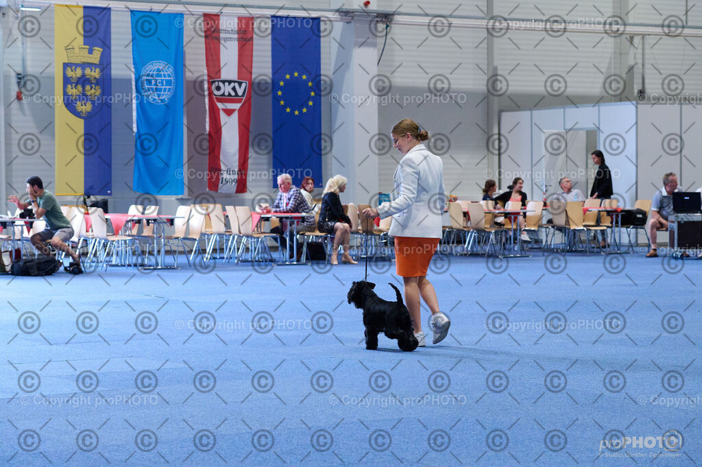 202406_ÖKV-IHA-Tulln24_DSC_4723 | proPHOTO - Realisiert mit Pictrs.com