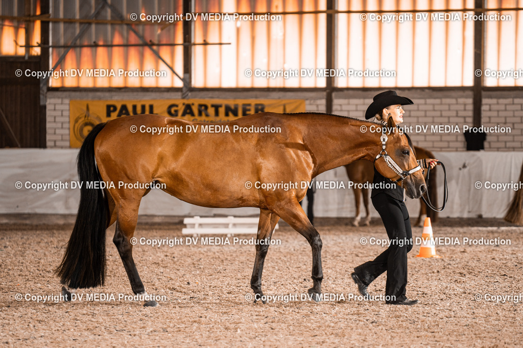 ZH200258 | dv-media-shop - Realisiert mit Pictrs.com