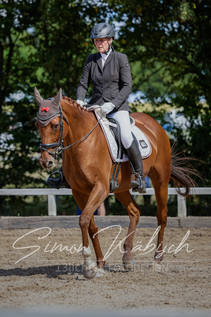 20250906-_3LI4901 | Tierfotografie Pferde, Hunde, Katzen, Haustiere.
Turnierfotografie Reitturniere, Reiten, Springreiten, Dressur in Hanau, dem Main-Kinzig-Kreis und dem Rhein-Main- Gebiet um Frankfurt