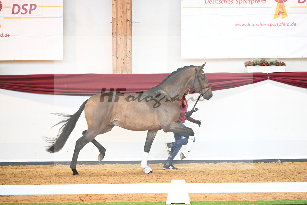 Kat-Nr. 39 v. Jovian_Dahlhoff_66220986 | hf-fotografie - Realisiert mit Pictrs.com