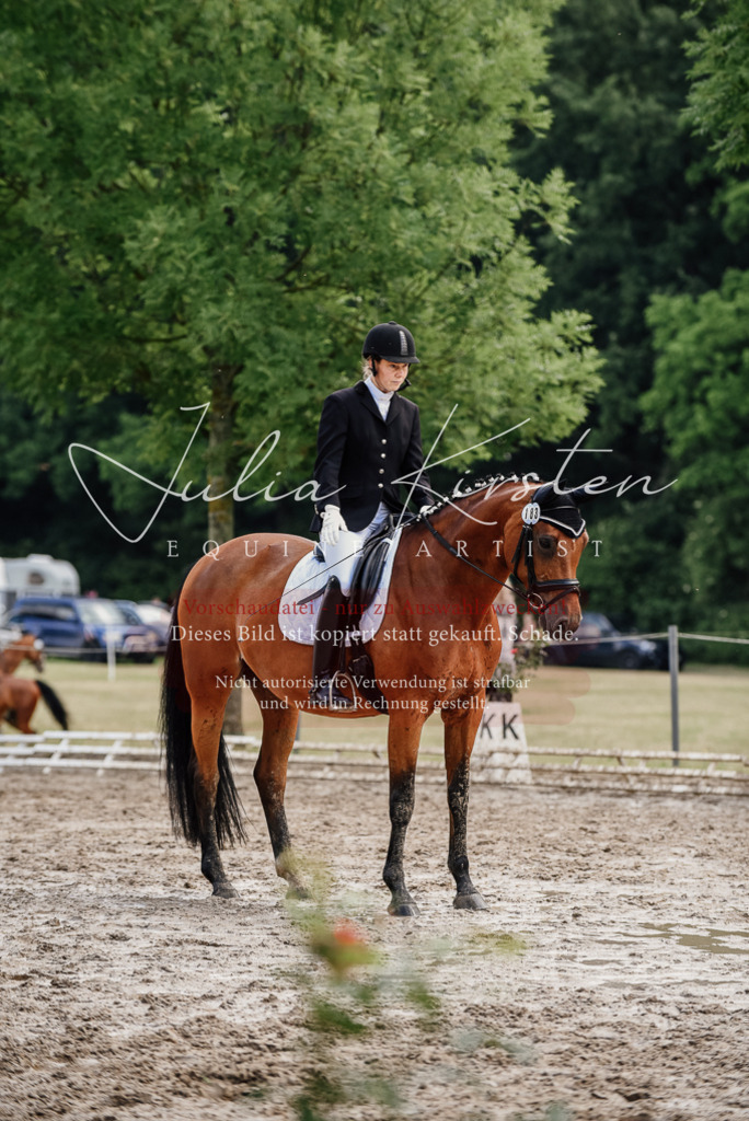 DSC_9737 | Pferde- und Turnierfotografie in Westsachsen. Pferdeportraits, Auftragszeichnungen und intuitive Kunst.