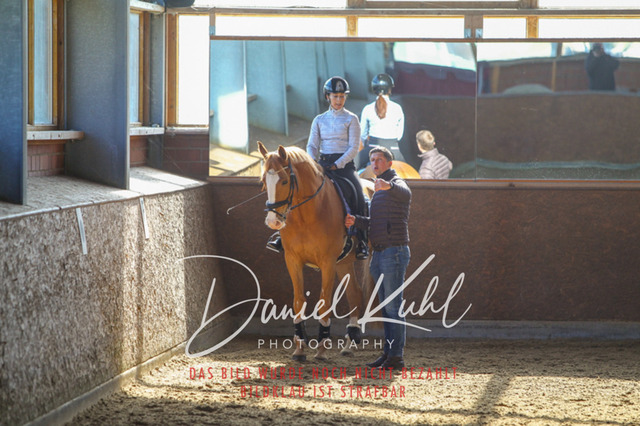 DKP42213 | Turniersportfotografie; Pferdefotografie; Dressurfotografie